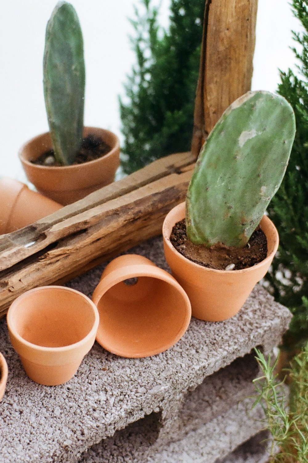 DIY Cardboard Planters That Mimic Terracotta Pots - cardboard crafts diy ideas