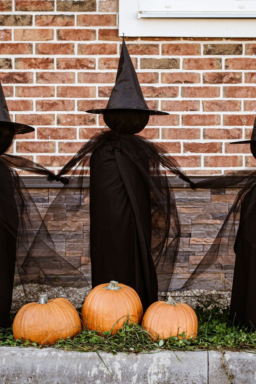 21. Glam Witch Aesthetic — Black, Gold, and Purple Luxury Decor - halloween party decorationst