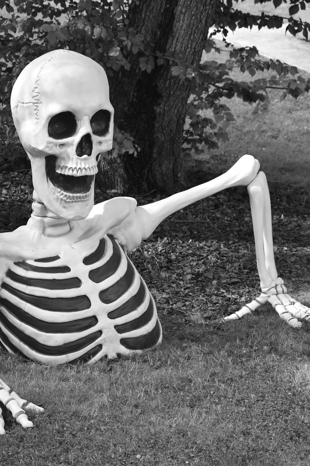 9. Graveyard Scene for the Backyard or Garden - halloween party decorationst
