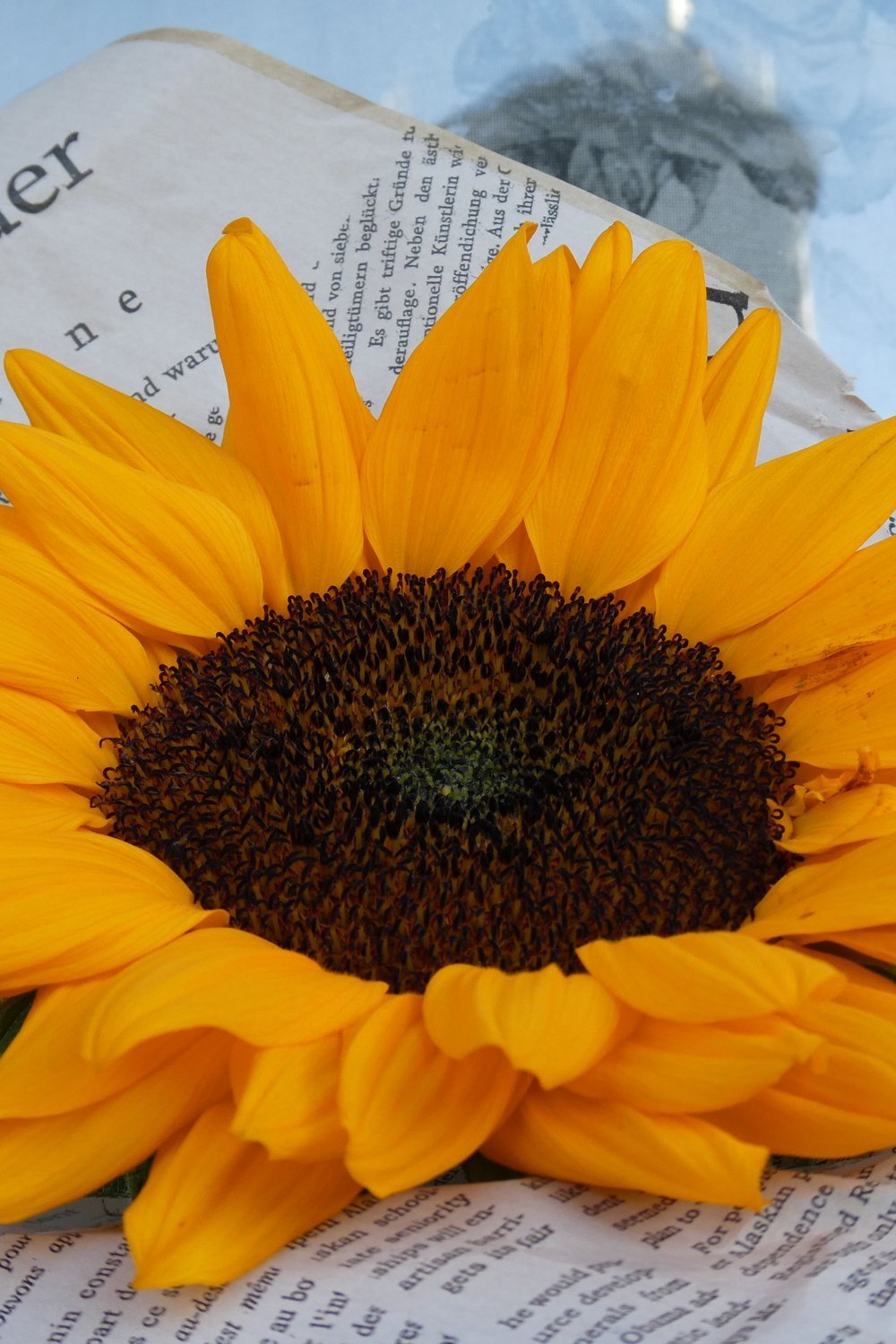 How to Make a Paper Sunflower with a Gorgeous 3D Center - how to make paper flowers step by step