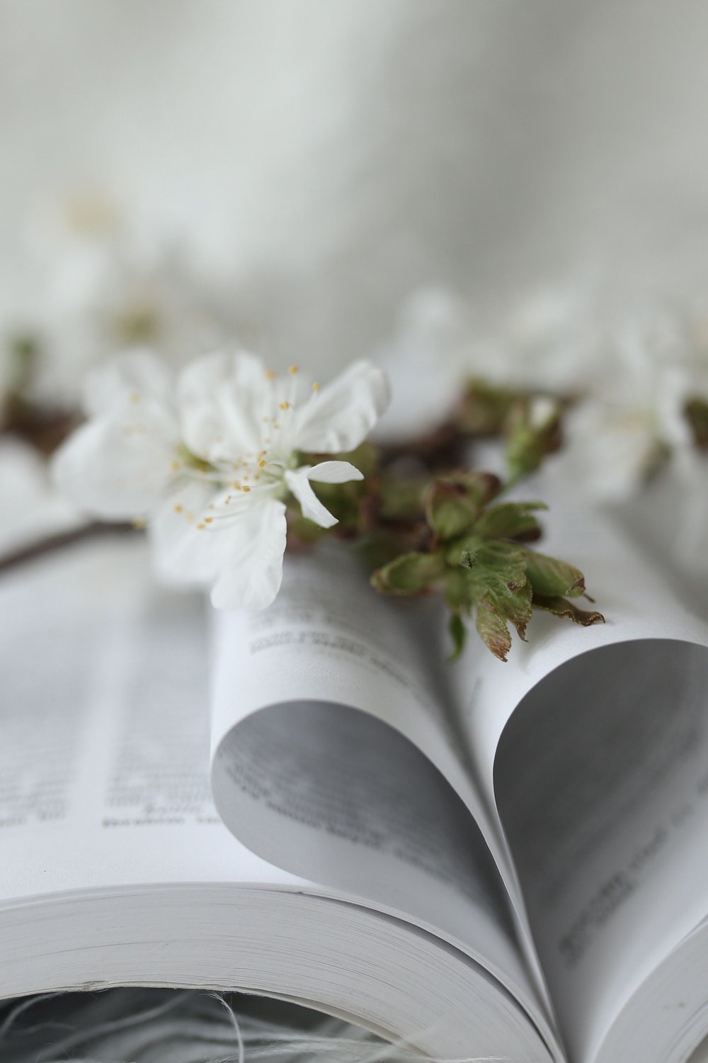 Paper Cherry Blossoms for Delicate Spring Decor - how to make paper flowers step by step