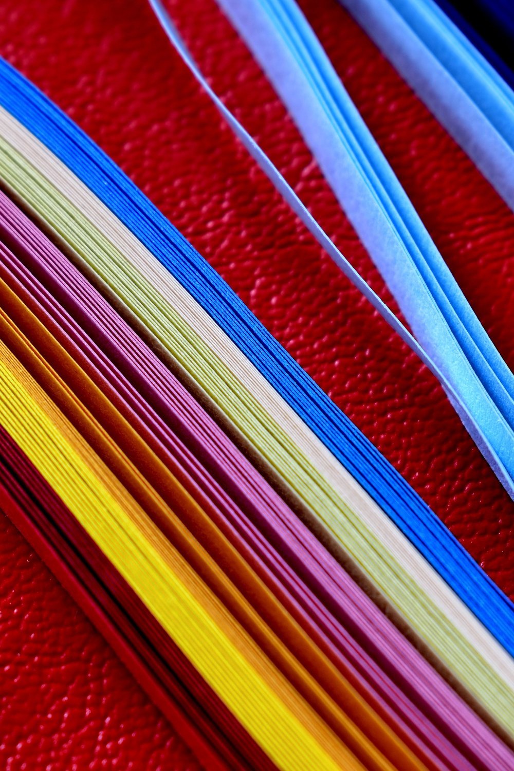 Rolled Paper Flowers From Strips: Quick and Addictive - how to make paper flowers step by step