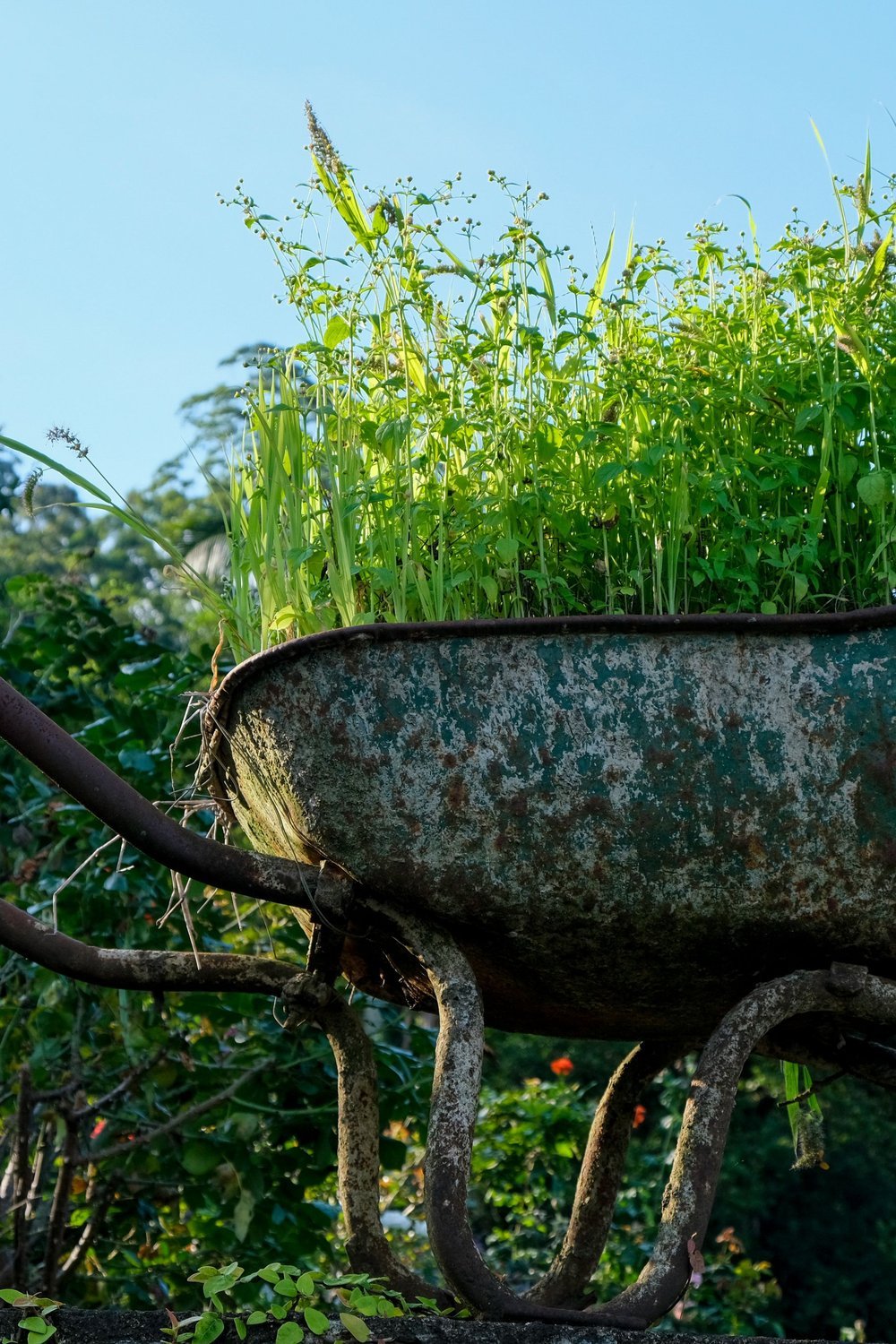 3. Outdoor Fairy Garden DIY in a Vintage Wheelbarrow - outdoor fairy garden diy