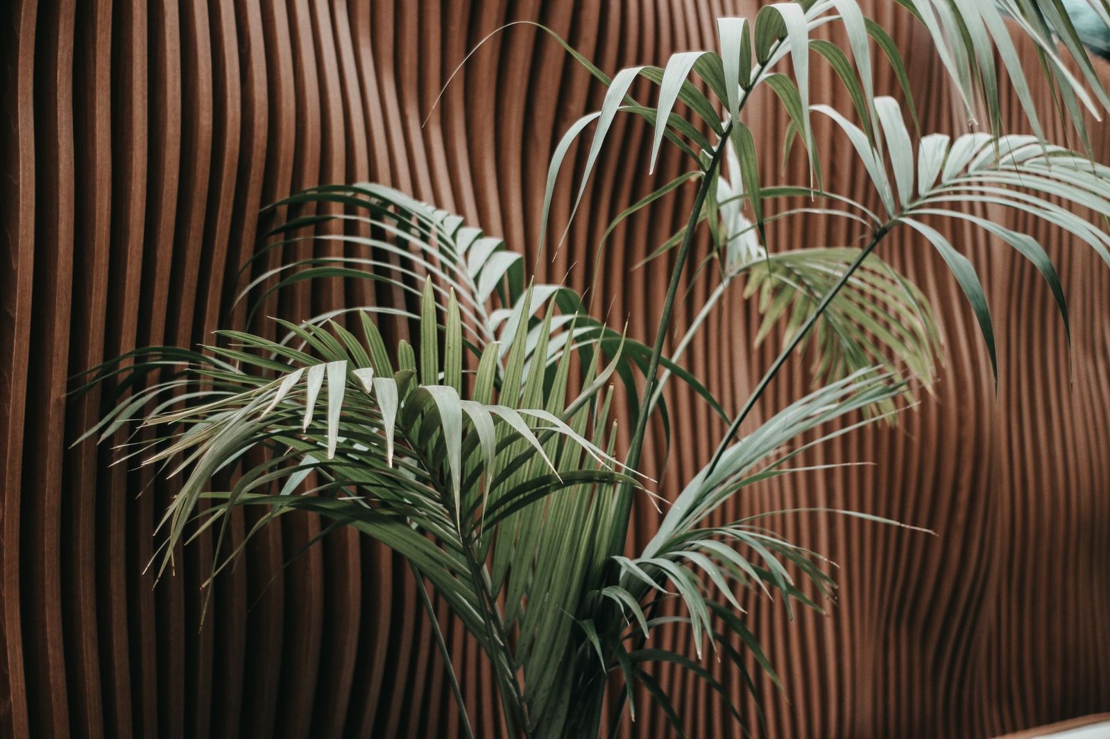 Idea 5: Incorporate Biophilic Design with Lush Greenery and Natural Textures - Outdoor Living Room Ideas