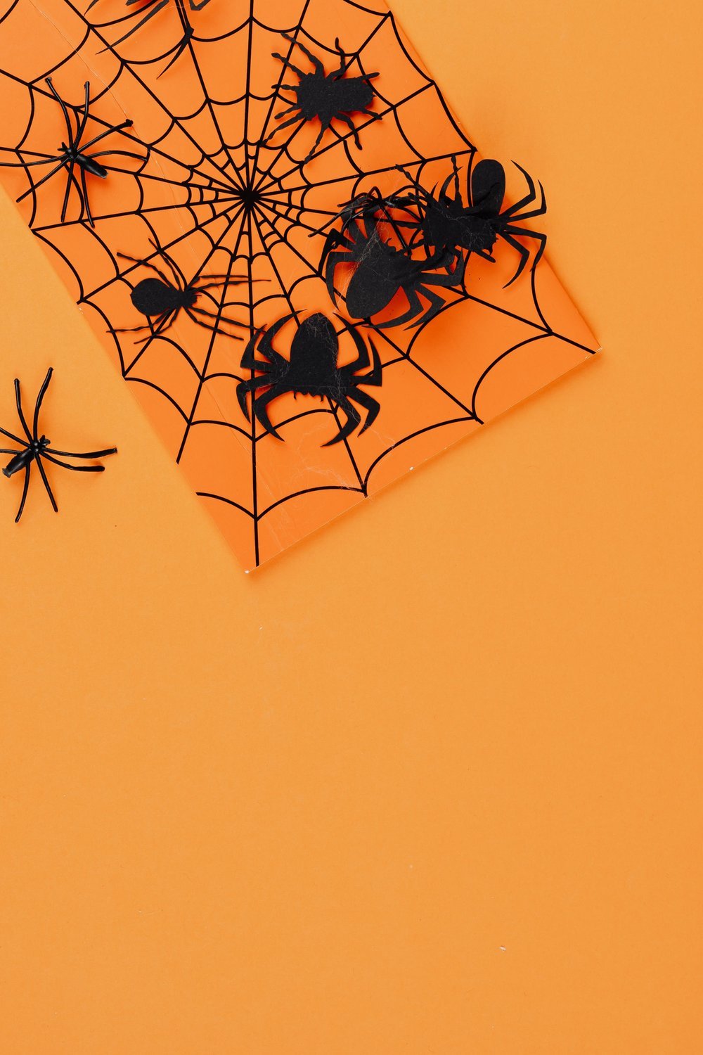 10. Spooky Paper Plate Spider Web for Halloween - paper plate crafts for kids