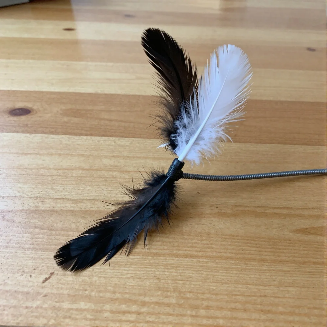 Feather Teaser Wands - diy cat toys