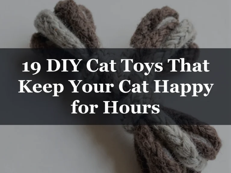 19 DIY Cat Toys That Keep Your Cat Happy for Hours - diy cat toys